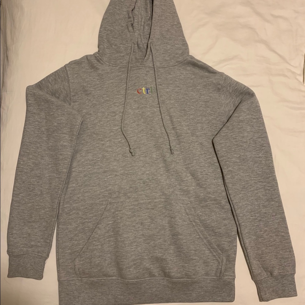 Grey “Ctrl” Hoodie Sweatshirt